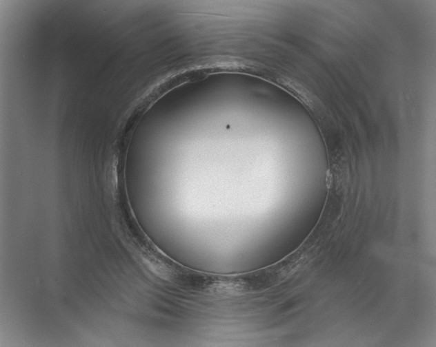 X0000072510350200607290138