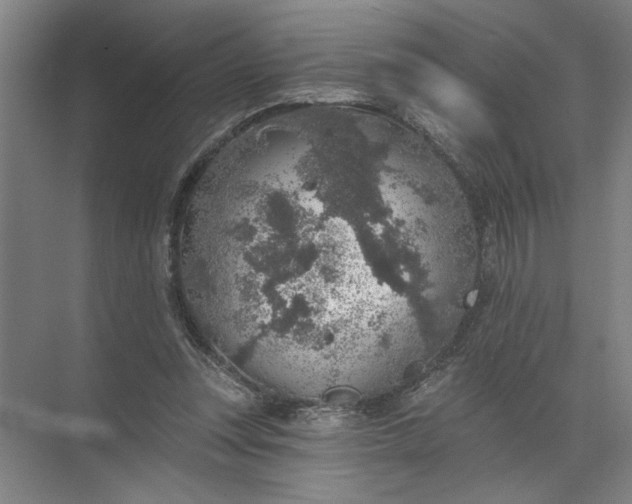 X0000072510351200607290138