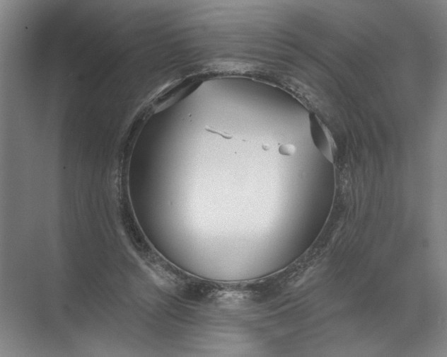 X0000072510352200607290138