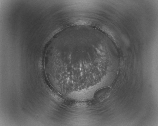 X0000072510353200607290138