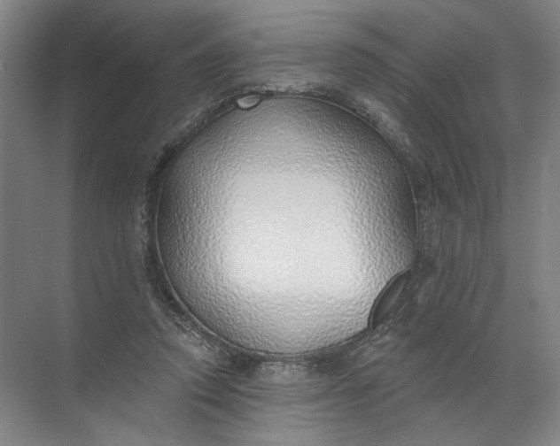 X0000072510354200607290138