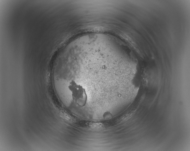 X0000072510355200607290138