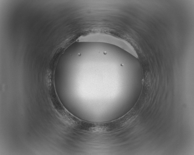 X0000072510356200607290138