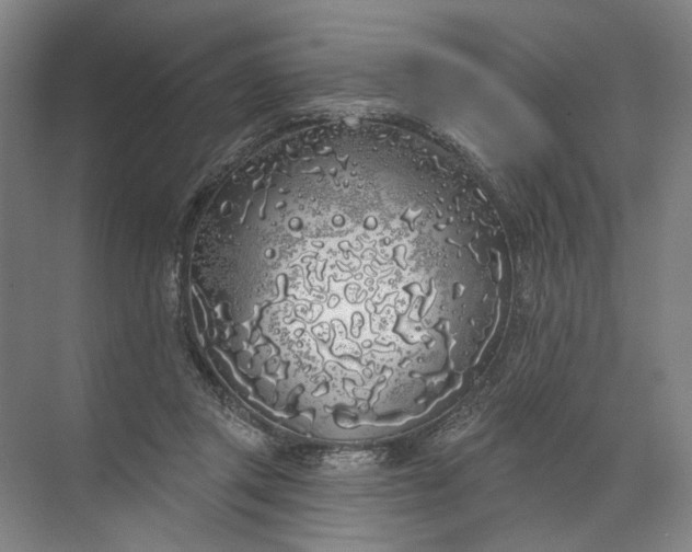 X0000072510357200607290138