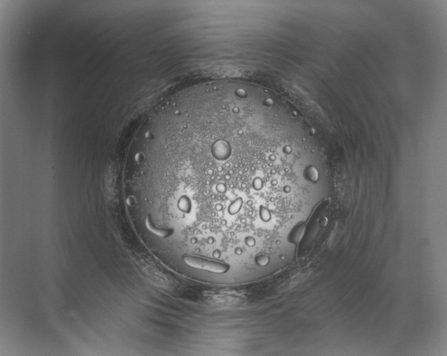 X0000072510359200607290138