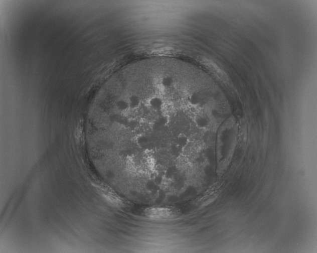 X0000072510361200607290138