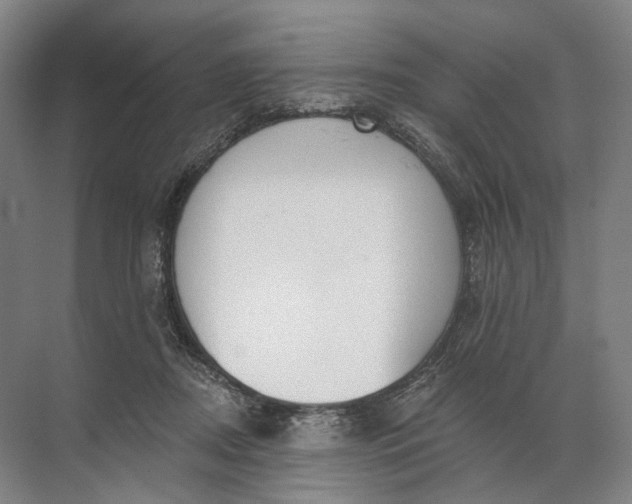 X0000072510362200607290138