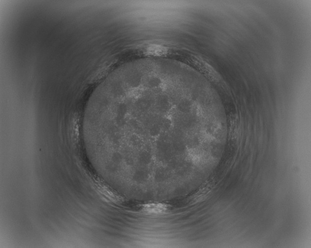 X0000072510363200607290138