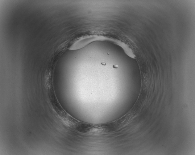 X0000072510364200607290138