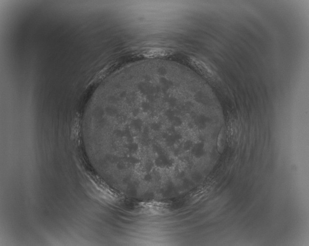 X0000072510367200607290138