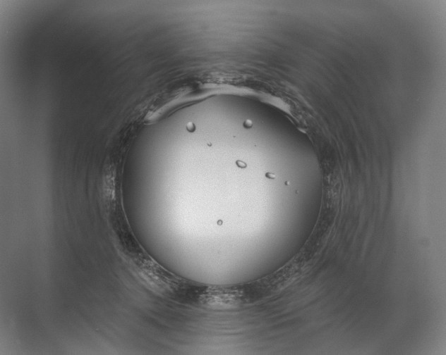 X0000072510368200607290138