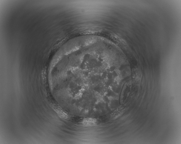 X0000072510369200607290138