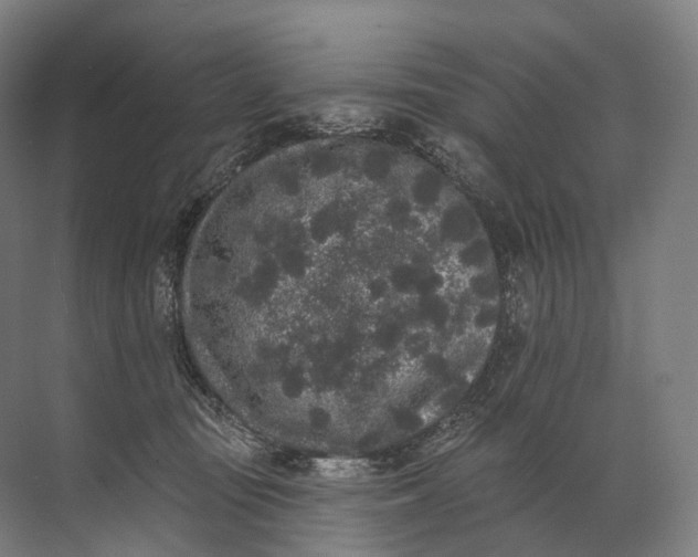 X0000072510371200607290138