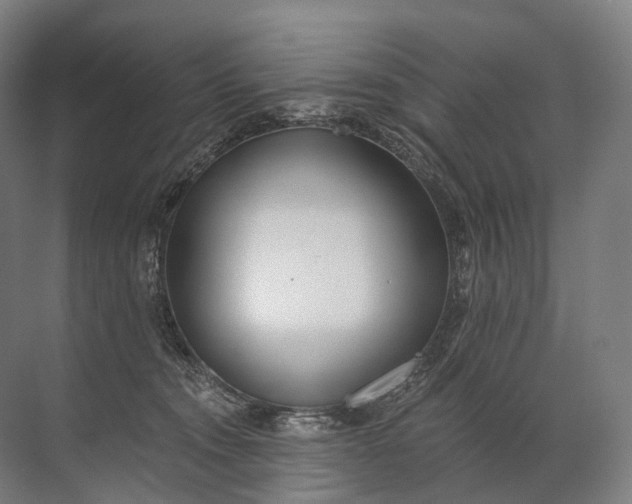 X0000072510372200607290138