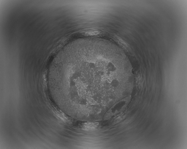 X0000072510373200607290138