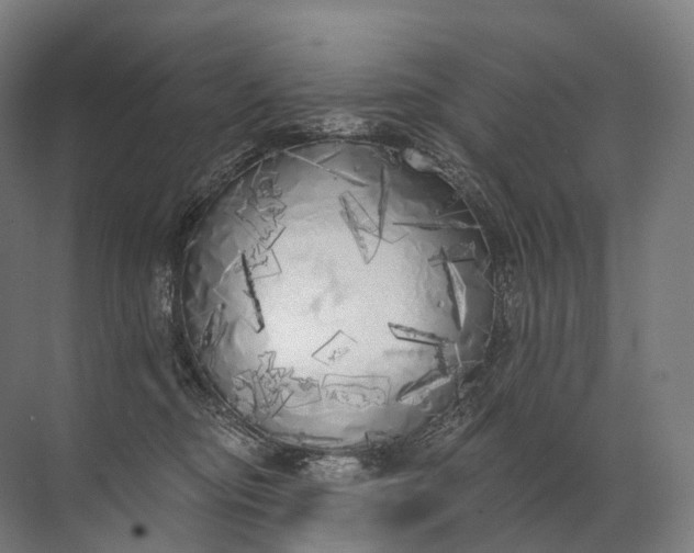 X0000072510374200607290138