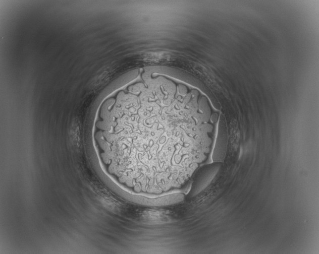 X0000072510375200607290138