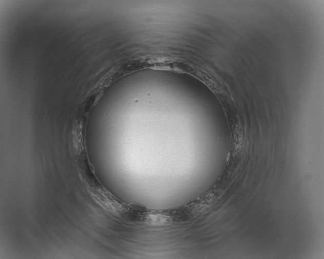 X0000072510376200607290139