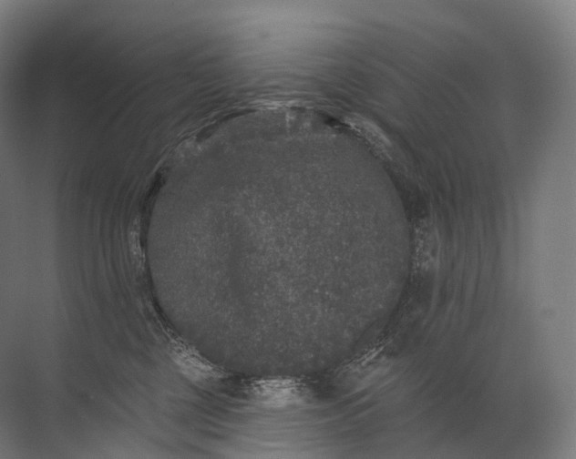 X0000072510377200607290139