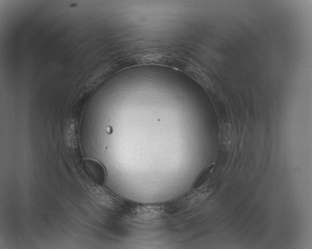 X0000072510378200607290139