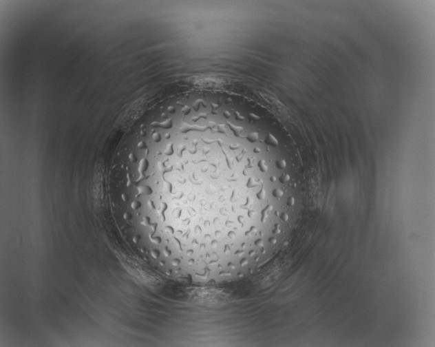 X0000072510379200607290139