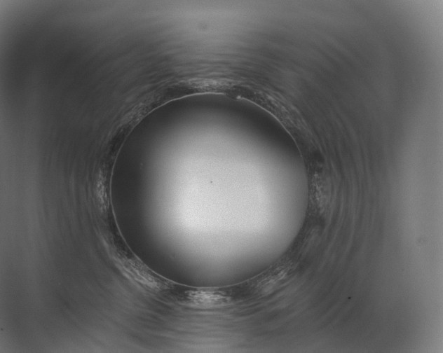 X0000072510380200607290139