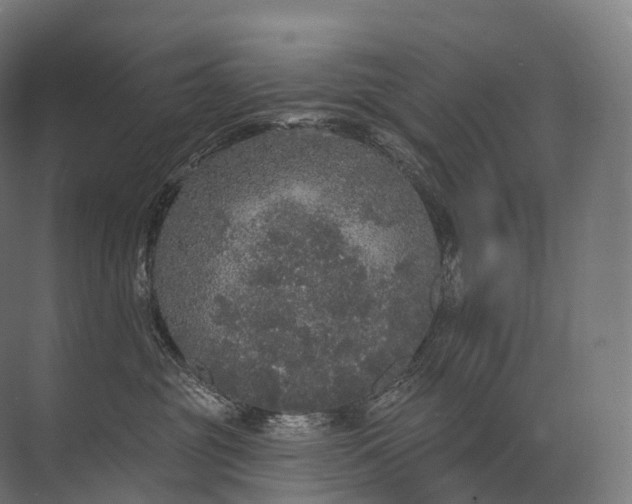 X0000072510381200607290139