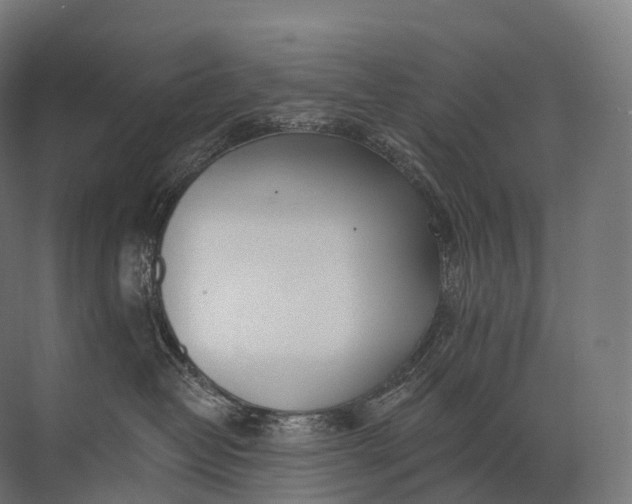 X0000072510382200607290139