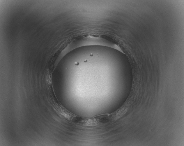 X0000072510384200607290139