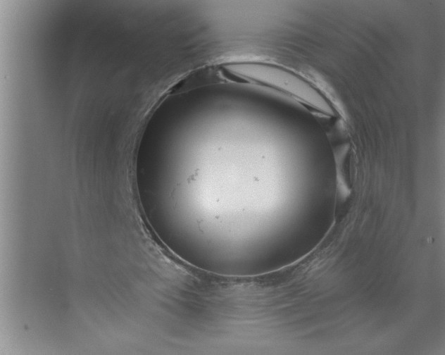 X0000072510385200607290138