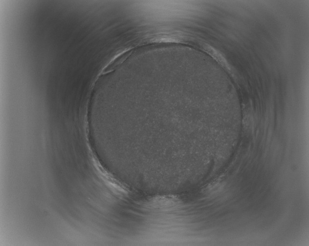 X0000072510386200607290138