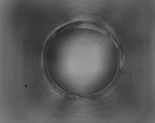 X0000072510387200607290138