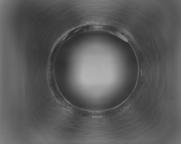 X0000072510388200607290138