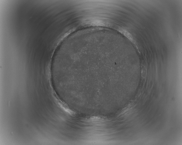 X0000072510390200607290138