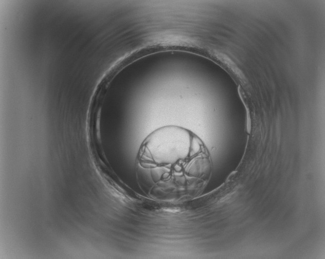 X0000072510391200607290138