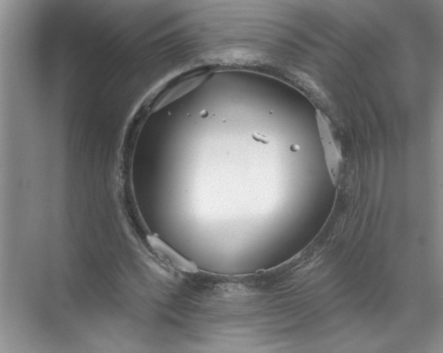 X0000072510392200607290138