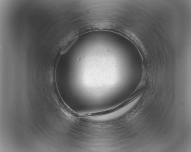 X0000072510393200607290138