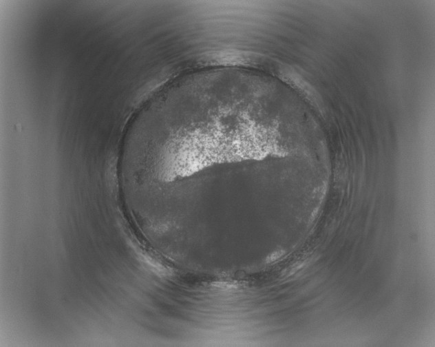 X0000072510394200607290138