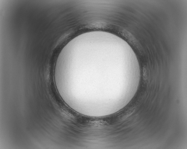 X0000072510396200607290138