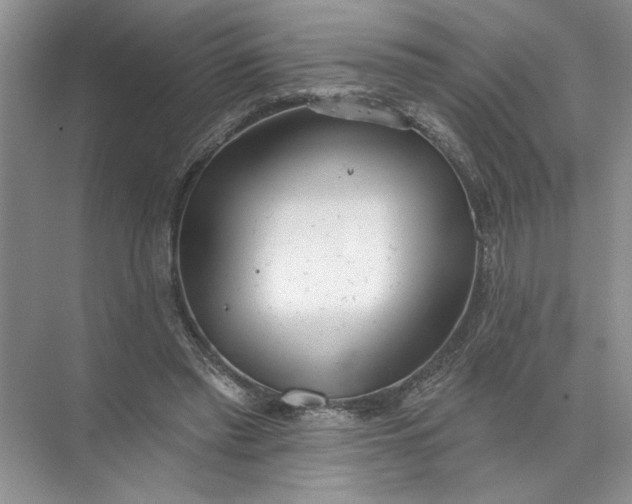 X0000072510397200607290138