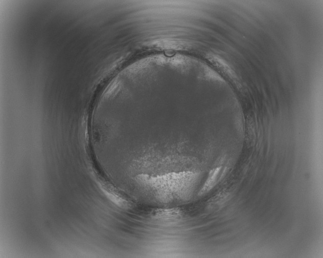 X0000072510398200607290138