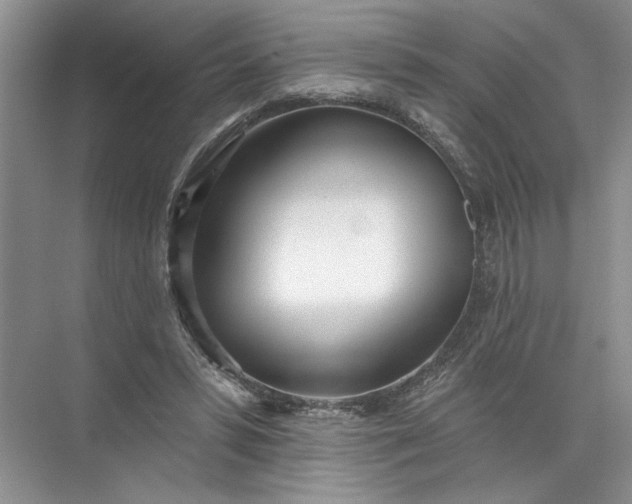 X0000072510399200607290138