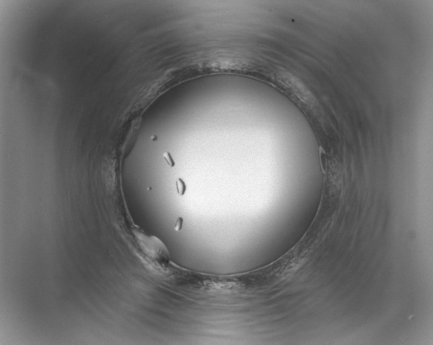 X0000072510401200607290138