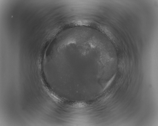 X0000072510402200607290138