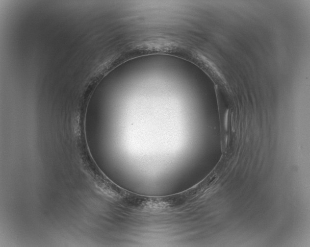 X0000072510403200607290138