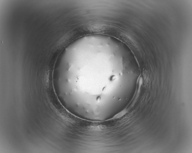 X0000072510404200607290138