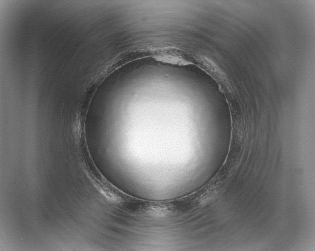 X0000072510405200607290137