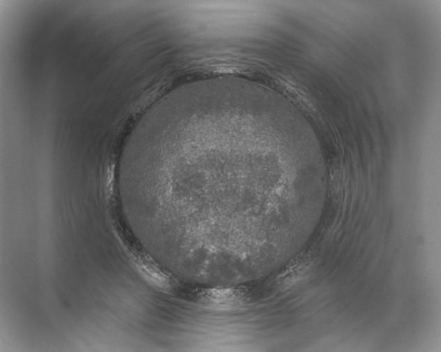 X0000072510406200607290137