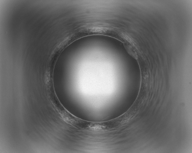 X0000072510407200607290137