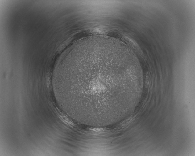 X0000072510409200607290137